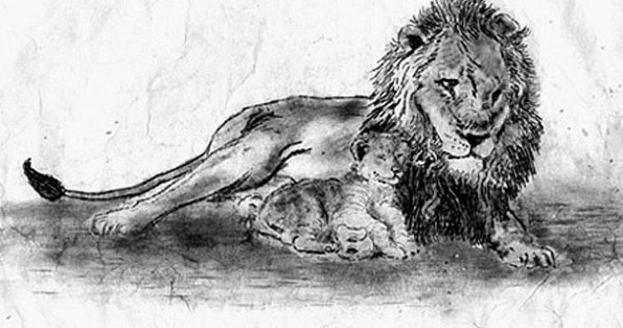 lion-resting